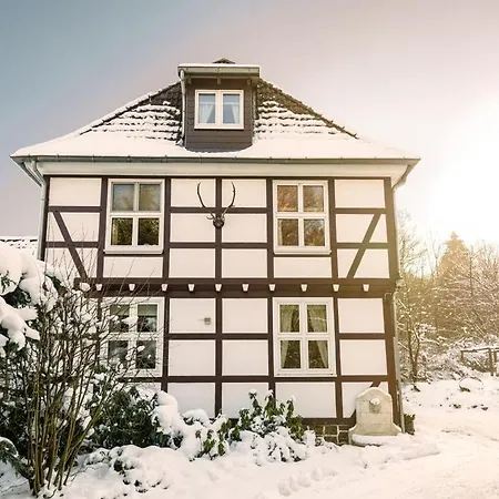 Cosy In Harz