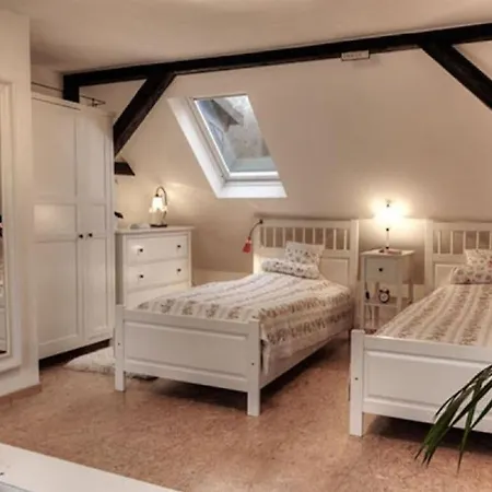 Cosy In Harz Daire